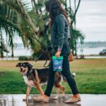 woman in black leather jacket and blue denim jeans holding black and brown short coated dog