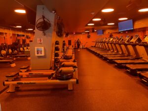 Read more about the article Orange Theory, explained
