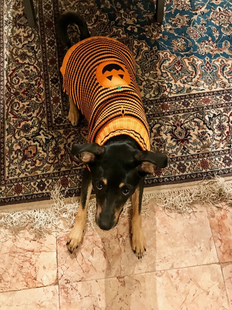 Galaxy halloween