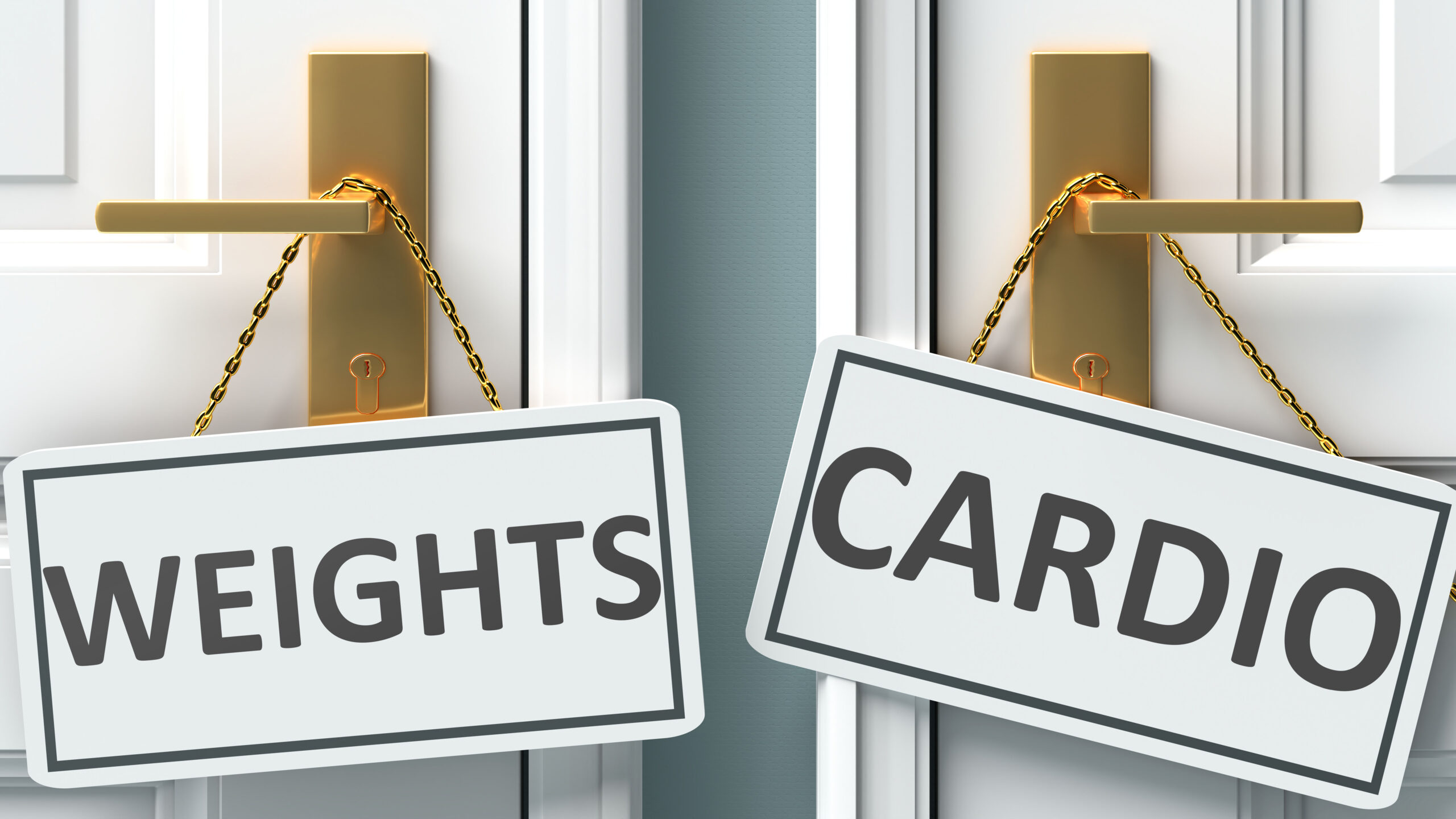 Read more about the article Cardio v. Weights Decision Tree