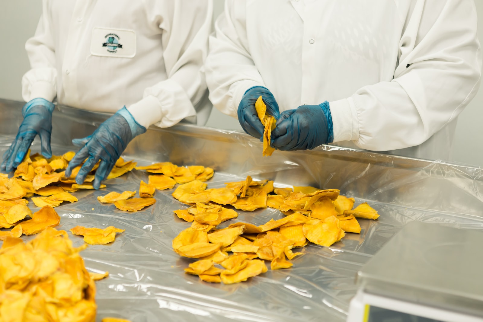 Read more about the article Your Brain on Lab-Grown Food